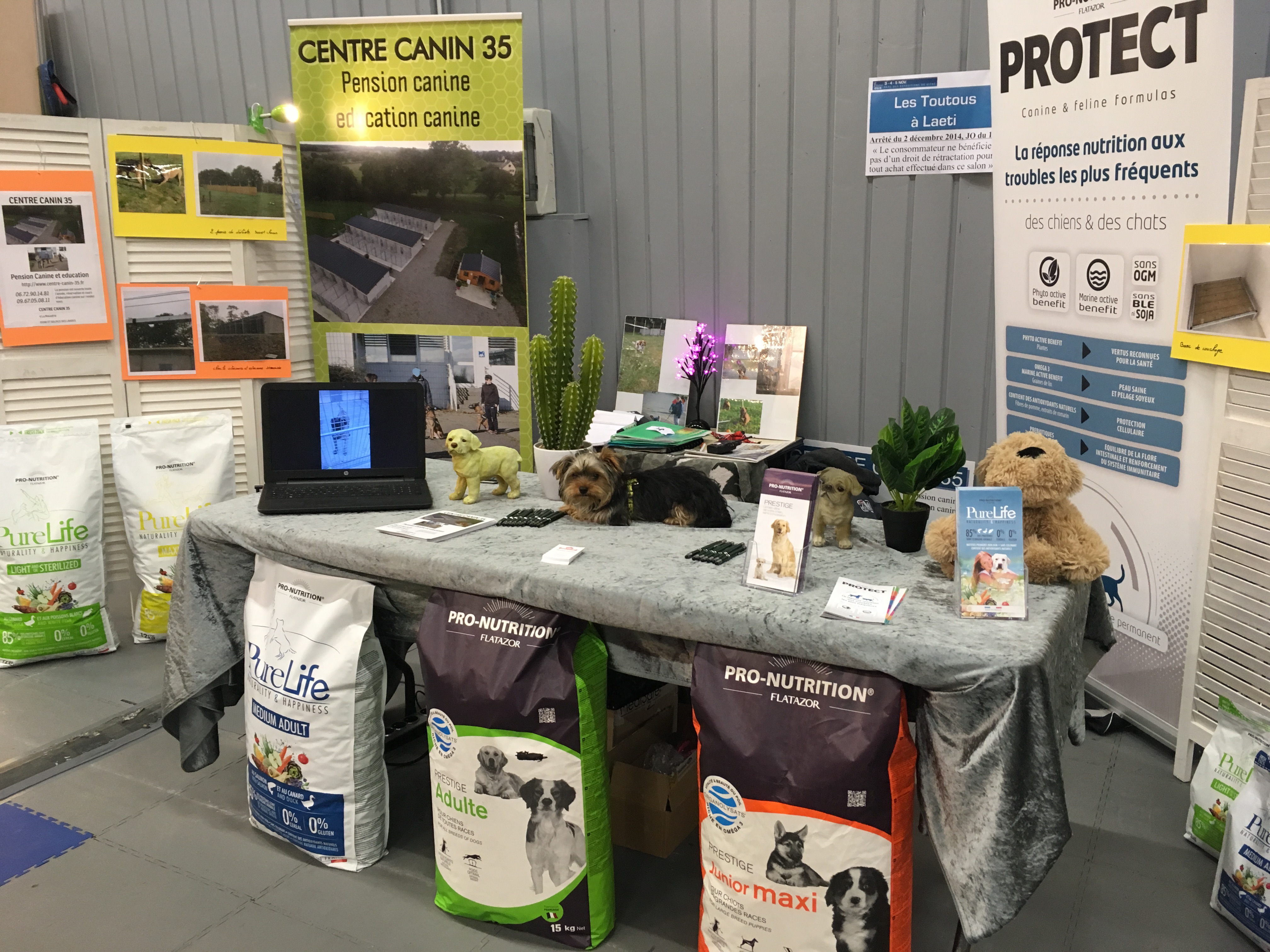 thumbnail actualité